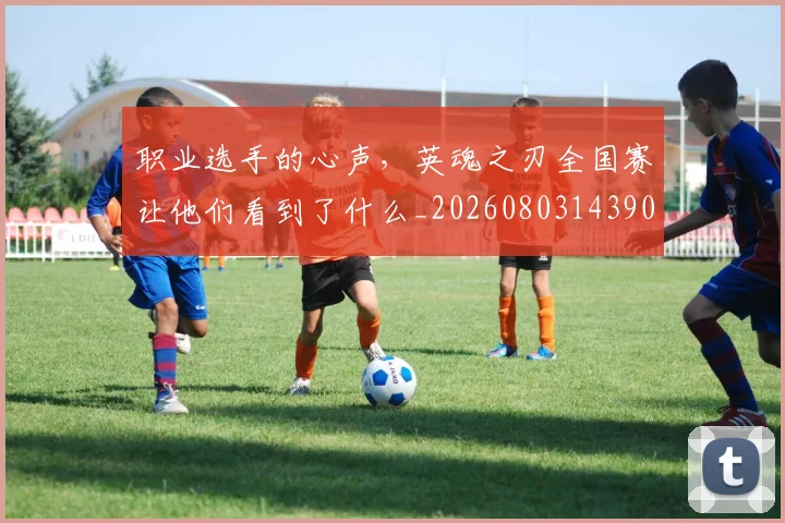 职业选手的心声，英魂之刃全国赛让他们看到了什么_20260803143906