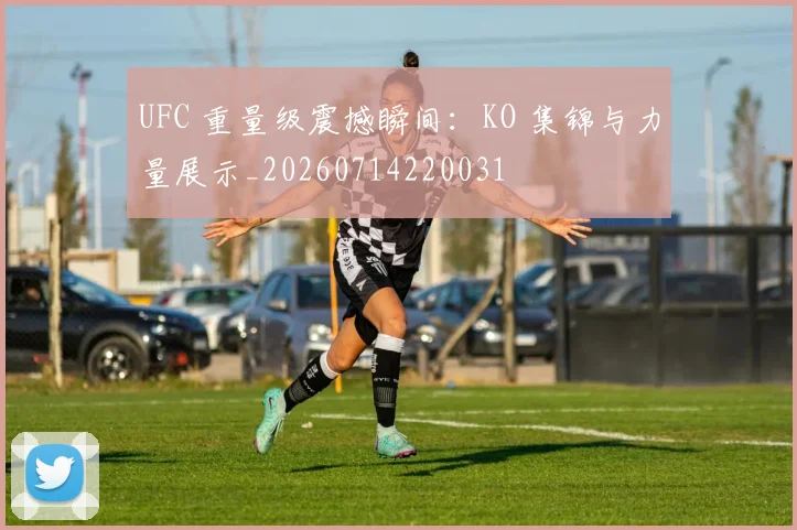 UFC 重量级震撼瞬间：KO 集锦与力量展示_20260714220031