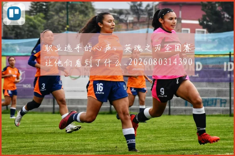 职业选手的心声，英魂之刃全国赛让他们看到了什么_20260803143906