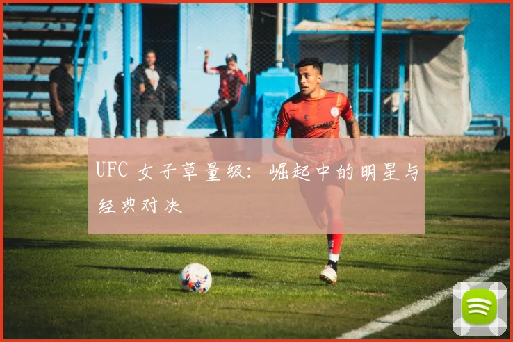 UFC 女子草量级：崛起中的明星与经典对决