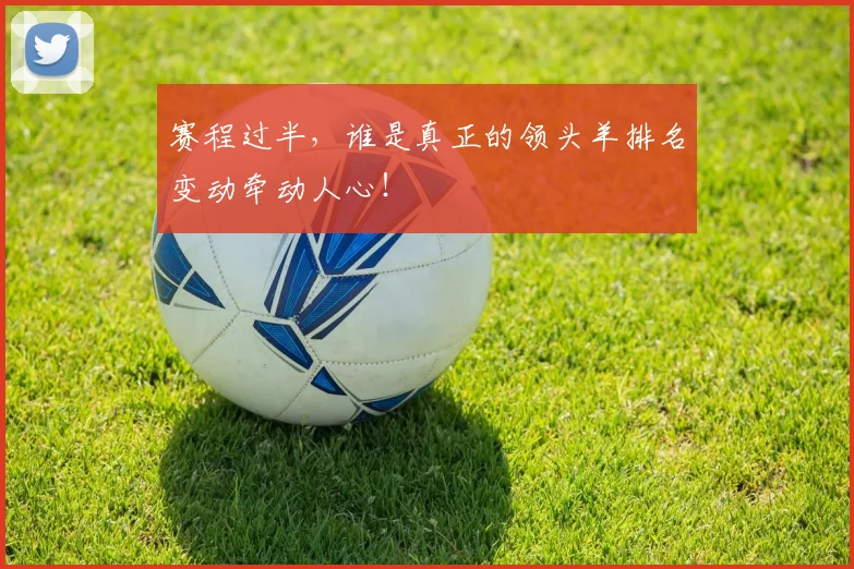 赛程过半，谁是真正的领头羊排名变动牵动人心！