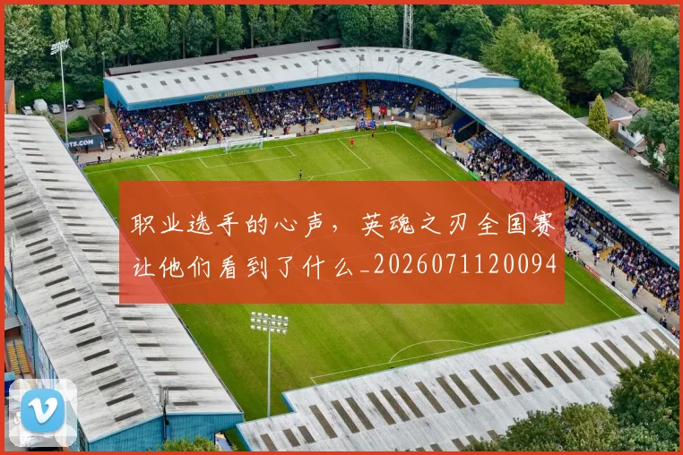 职业选手的心声，英魂之刃全国赛让他们看到了什么_20260711200946