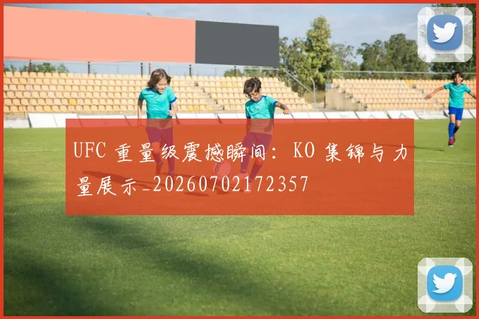 UFC 重量级震撼瞬间：KO 集锦与力量展示_20260702172357
